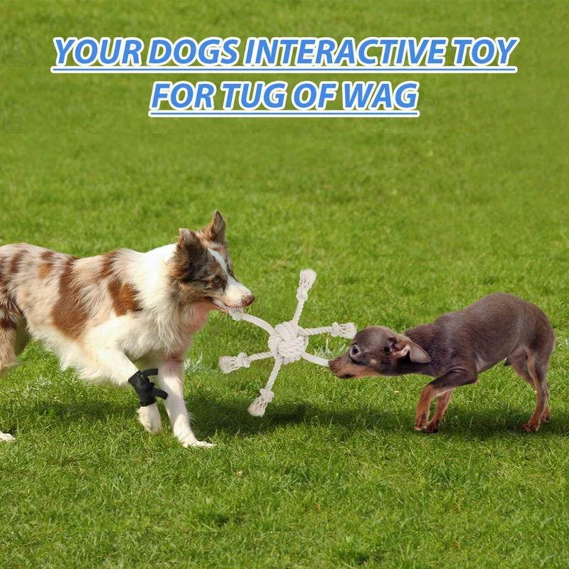 Juguete para perro de cuerda para masticadores agresivos, juguetes interactivos para masticar perros – Cuerda de nudo grueso y bolas de guerra – Algodón natural – Limpieza de dientes de perro – Resistente y duradero – Ideal para entrenamiento de perros