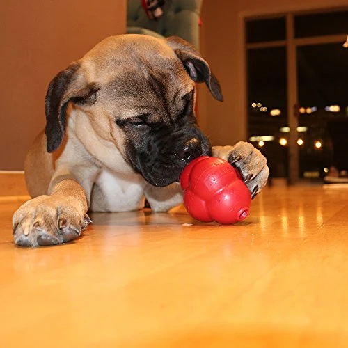 Titan Busy Bounce, Juguete para perro resistente y duradero con rebote impredecible | Fabricado en Estados Unidos