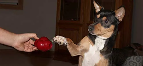 Titan Busy Bounce, Juguete para perro resistente y duradero con rebote impredecible | Fabricado en Estados Unidos