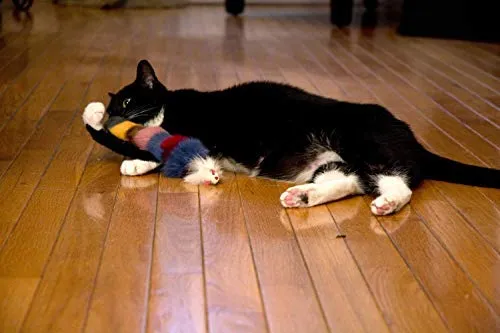 Juguete de pelo largo con chirriador para gatos y perros – El mejor juguete para hacer ejercicio para mascotas, mantiene a tu mascota activo, juguetes para gatos, juguetes para perros para aburridos.