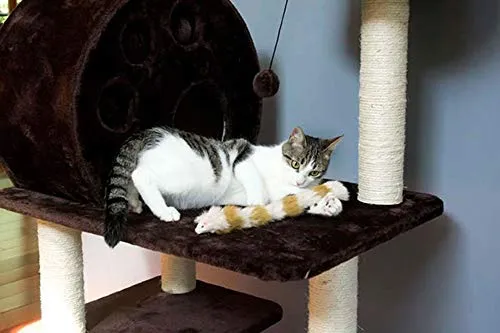 Juguete de pelo largo con chirriador para gatos y perros – El mejor juguete para hacer ejercicio para mascotas, mantiene a tu mascota activo, juguetes para gatos, juguetes para perros para aburridos.
