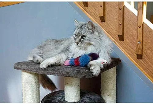 Juguete de pelo largo con chirriador para gatos y perros – El mejor juguete para hacer ejercicio para mascotas, mantiene a tu mascota activo, juguetes para gatos, juguetes para perros para aburridos.