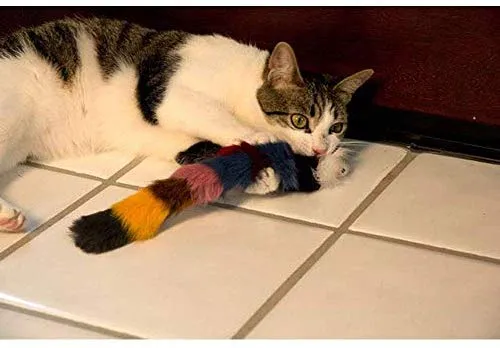 Juguete de pelo largo con chirriador para gatos y perros – El mejor juguete para hacer ejercicio para mascotas, mantiene a tu mascota activo, juguetes para gatos, juguetes para perros para aburridos.
