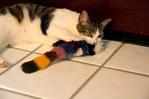 Juguete de pelo largo con chirriador para gatos y perros – El mejor juguete para hacer ejercicio para mascotas, mantiene a tu mascota activo, juguetes para gatos, juguetes para perros para aburridos.