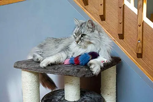 Juguete de pelo largo con chirriador para gatos y perros – El mejor juguete para hacer ejercicio para mascotas, mantiene a tu mascota activo, juguetes para gatos, juguetes para perros para aburridos.