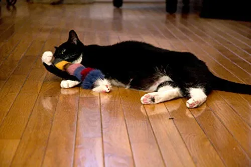 Juguete de pelo largo con chirriador para gatos y perros – El mejor juguete para hacer ejercicio para mascotas, mantiene a tu mascota activo, juguetes para gatos, juguetes para perros para aburridos.