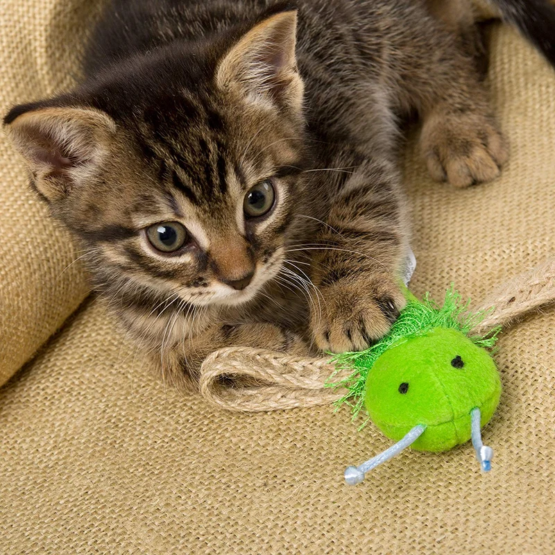 ley-hartz sólo para gatos del Yute Bug Catnip Cat Toy (colores/estilos varían)