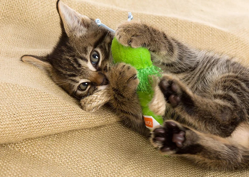 ley-hartz sólo para gatos del Yute Bug Catnip Cat Toy (colores/estilos varían)