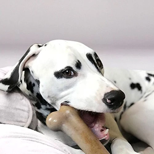 Juguetes para masticar perros de Pet Qwerks BarkBone para masticadores agresivos, fabricados en Estados Unidos