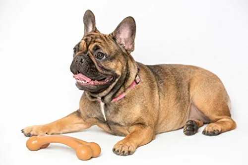 Juguetes para masticar perros de Pet Qwerks BarkBone para masticadores agresivos, fabricados en Estados Unidos