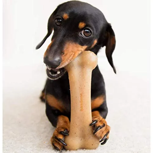 Juguetes para masticar perros de Pet Qwerks BarkBone para masticadores agresivos, fabricados en Estados Unidos