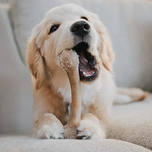 Juguetes para masticar perros de Pet Qwerks BarkBone para masticadores agresivos, fabricados en Estados Unidos