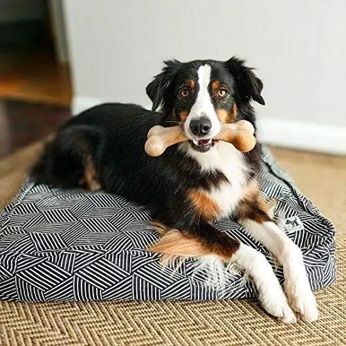 Juguetes para masticar perros de Pet Qwerks BarkBone para masticadores agresivos, fabricados en Estados Unidos
