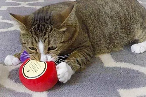 munchiecat Wine and Cheese Toys for Cats | Unique Gift for Cat Adoption, Wine Lovers, Housewarming Gift