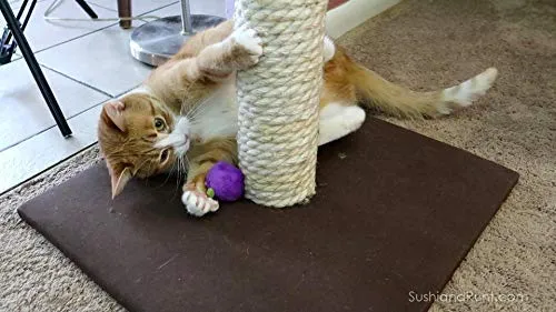 munchiecat Wine and Cheese Toys for Cats | Unique Gift for Cat Adoption, Wine Lovers, Housewarming Gift