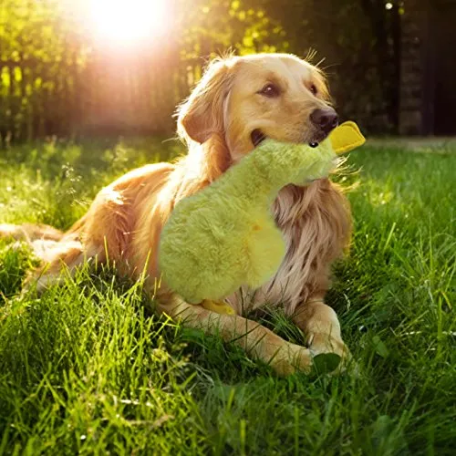 Perro Peluche Juguetes – Squeaky Duck & paquete de 2 Dragones & paquete de 4 juguetes de cuerda para perros pequeños, medianos y grandes