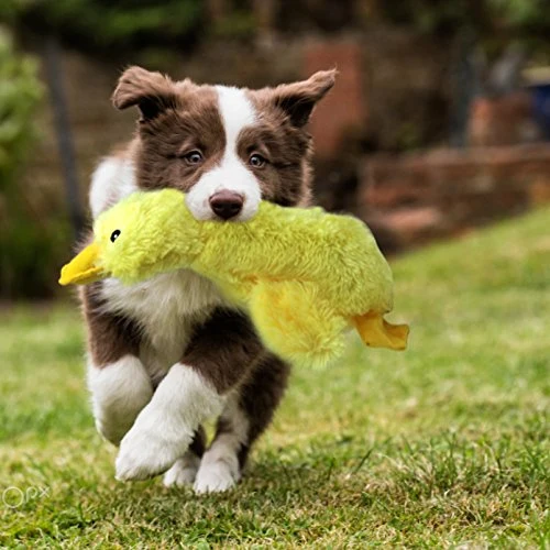 Perro Peluche Juguetes – Squeaky Duck & paquete de 2 Dragones & paquete de 4 juguetes de cuerda para perros pequeños, medianos y grandes