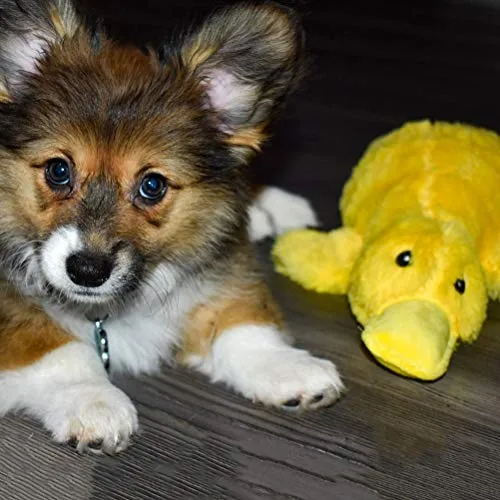 Perro Peluche Juguetes – Squeaky Duck & paquete de 2 Dragones & paquete de 4 juguetes de cuerda para perros pequeños, medianos y grandes