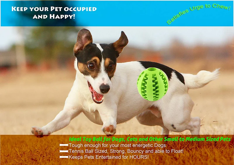 TOY IQ pelota para perros y gatos [objeto Dental] [Resistente a mordidas] Durable No tóxico- sin BPA potente limpiador de dientes Juguete de perros bolas para mascotas entrenamiento CI/juegos/masticación, goma suave, rebota, tamaño de la bola de tenis