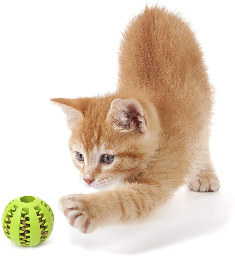 TOY IQ pelota para perros y gatos [objeto Dental] [Resistente a mordidas] Durable No tóxico- sin BPA potente limpiador de dientes Juguete de perros bolas para mascotas entrenamiento CI/juegos/masticación, goma suave, rebota, tamaño de la bola de tenis