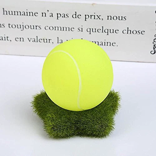 Bola para perro Savena Squeaky – Nueva actualización hecha por material no tóxico sin olor ambiental Juguete antimordeduras resistente a mordeduras, libro electrónico para levantar perros incluido