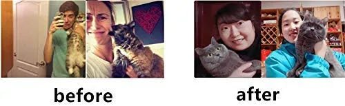 Yisilin Selfie Cat, gato selfie stick con divertido pluma Teaser para atraer la atención de gato, reutilizable y extraíble, libre de daños, compatible con todos los modelos de iPhone Sumsung Google Huawei Smartphone Tablet