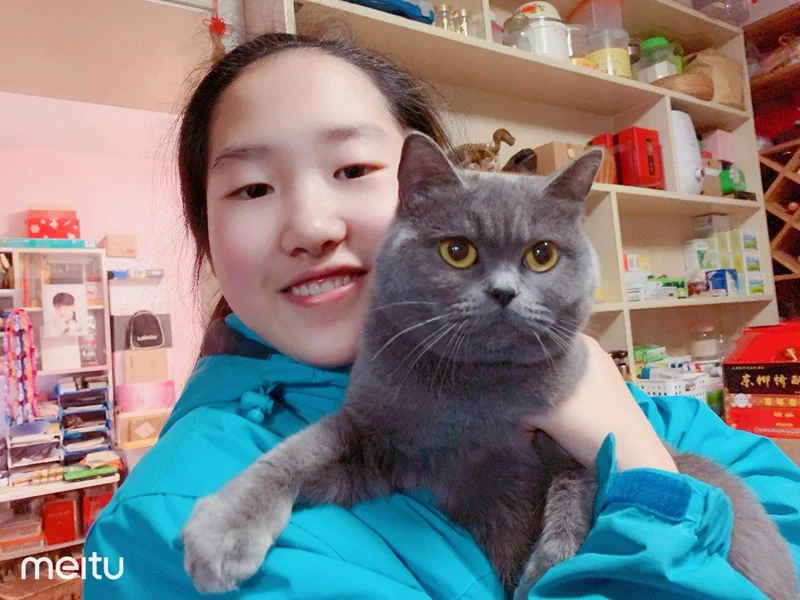 Yisilin Selfie Cat, gato selfie stick con divertido pluma Teaser para atraer la atención de gato, reutilizable y extraíble, libre de daños, compatible con todos los modelos de iPhone Sumsung Google Huawei Smartphone Tablet