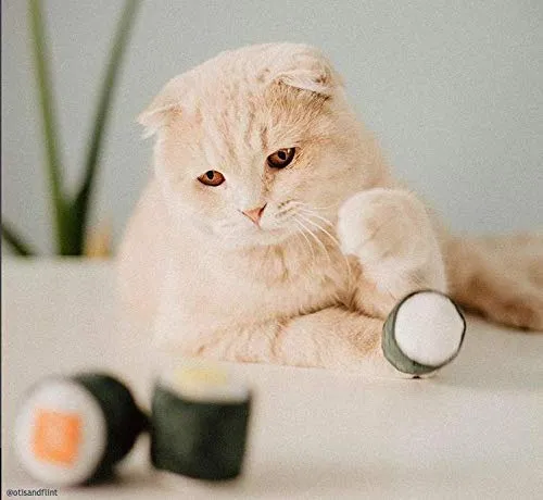 munchiecat Sushi juguetes para gatos y gatitos, gato orgánico, regalo único para amantes de los gatos, hecho con materiales no tóxicos, seguros, aptos para mascotas