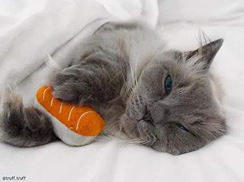munchiecat Sushi juguetes para gatos y gatitos, gato orgánico, regalo único para amantes de los gatos, hecho con materiales no tóxicos, seguros, aptos para mascotas