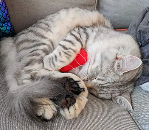 munchiecat Sushi juguetes para gatos y gatitos, gato orgánico, regalo único para amantes de los gatos, hecho con materiales no tóxicos, seguros, aptos para mascotas