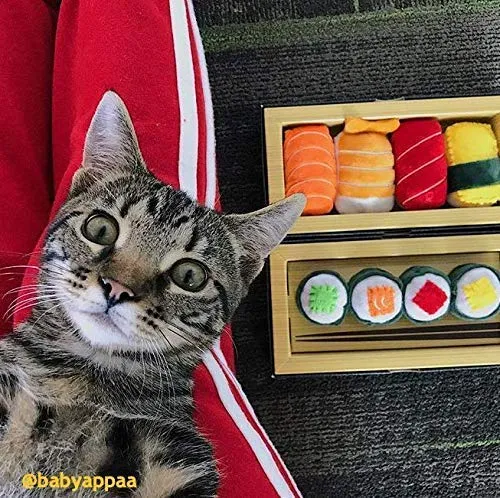 munchiecat Sushi juguetes para gatos y gatitos, gato orgánico, regalo único para amantes de los gatos, hecho con materiales no tóxicos, seguros, aptos para mascotas
