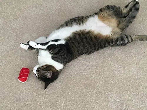 munchiecat Sushi juguetes para gatos y gatitos, gato orgánico, regalo único para amantes de los gatos, hecho con materiales no tóxicos, seguros, aptos para mascotas