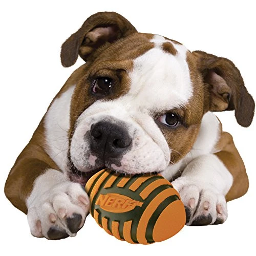 Nerf - Balón de fútbol en espiral para perro