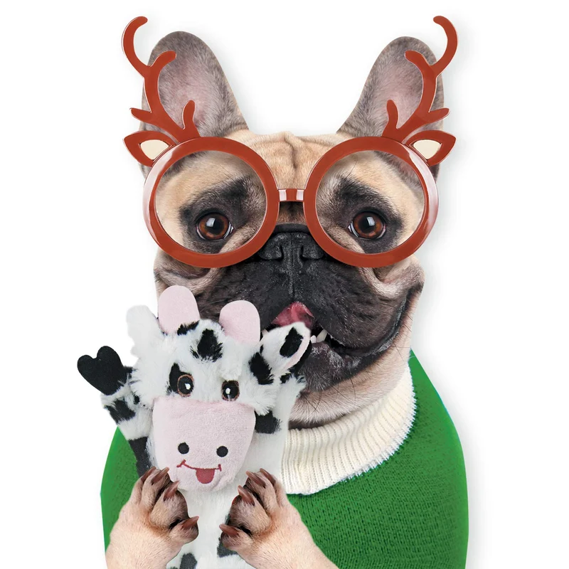 YeePee - Juguete para perro con diseño de perro de peluche, 5 unidades, para perros grandes y perros medianos
