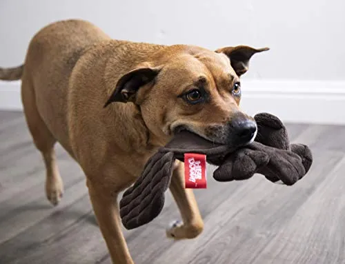 Oye Doggy Flattie juguetes ultrasónicos para perros