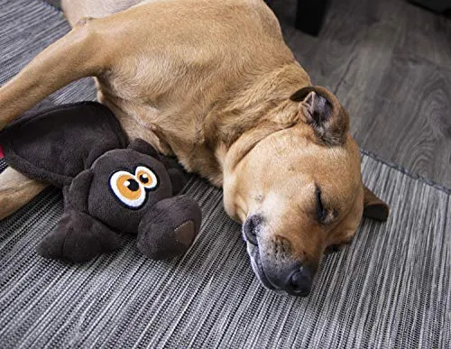 Oye Doggy Flattie juguetes ultrasónicos para perros