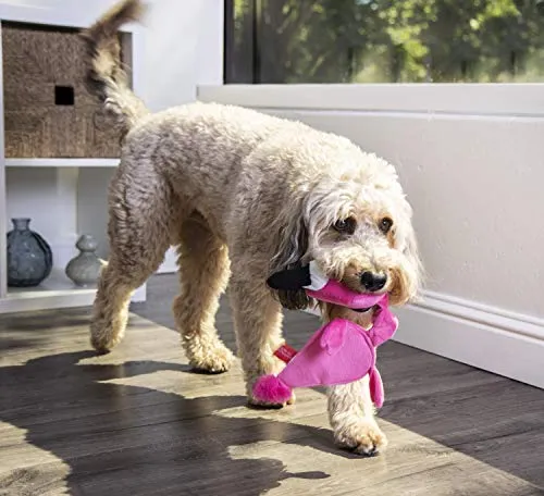 Oye Doggy Flattie juguetes ultrasónicos para perros