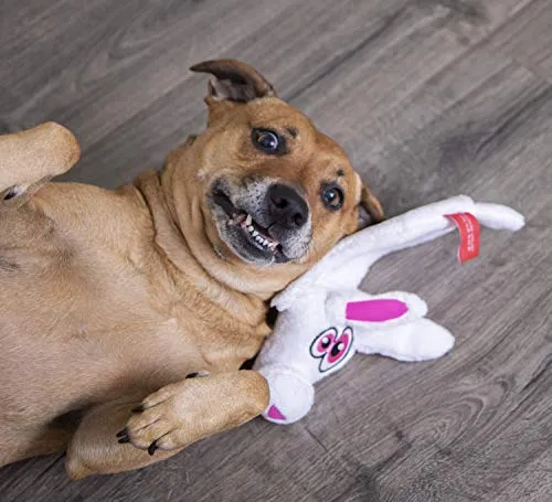 Oye Doggy Flattie juguetes ultrasónicos para perros