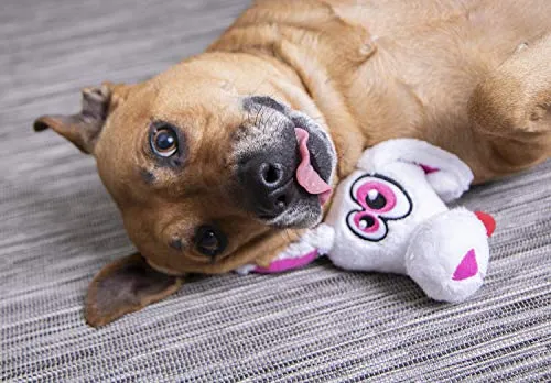 Oye Doggy Flattie juguetes ultrasónicos para perros