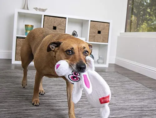 Oye Doggy Flattie juguetes ultrasónicos para perros