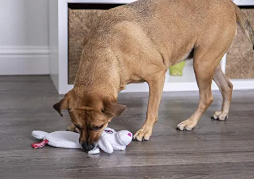 Oye Doggy Flattie juguetes ultrasónicos para perros