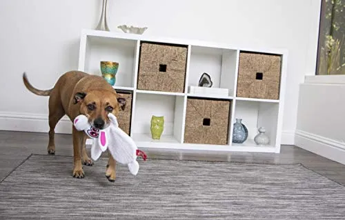 Oye Doggy Flattie juguetes ultrasónicos para perros
