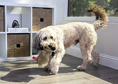 Oye Doggy Flattie juguetes ultrasónicos para perros