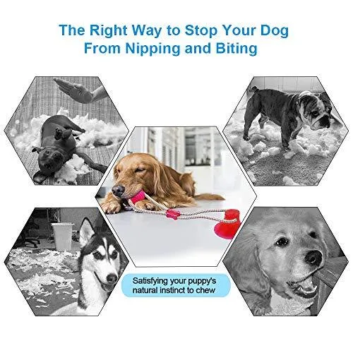 Abbyhouse Juguete para masticar pelotas de perro, cuerda interactiva multifunción con ventosa, bola de limpieza de dientes