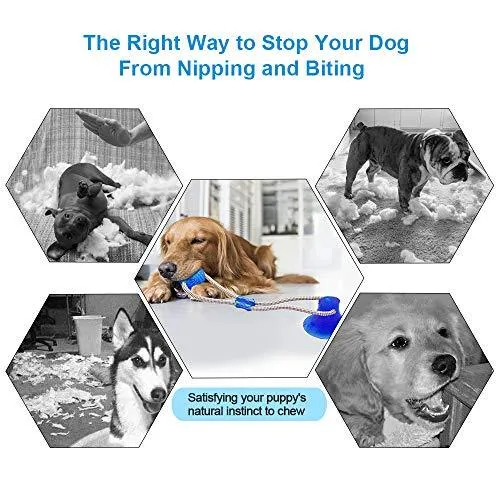 Abbyhouse Juguete para masticar pelotas de perro, cuerda interactiva multifunción con ventosa, bola de limpieza de dientes