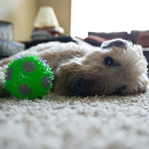 Gnawsome 3.5” Squeak & Light Soccer Ball Dog Toy - Medium, Cleans Teeth and Promotes Dental and Gum Health for Your Pet, Colors Will Vary
