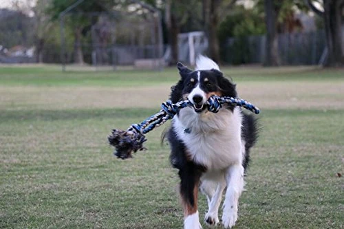 Juguete de cuerda para perros XL para gafas de huéspedes – pelota grande para perros grandes y medianos – Beneficios no resistentes al rescate de perros – Gran cuerda de poliéster para perros con salud dental – 100% algodón de cuerda de juguete para perro