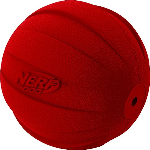 Nerf perro pelota chillona.