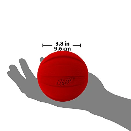 Nerf perro pelota chillona.