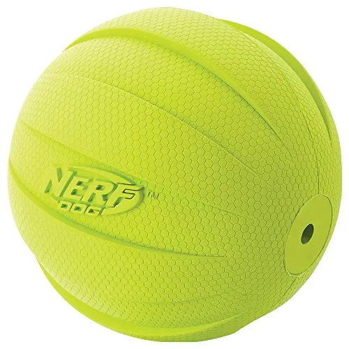 Nerf perro pelota chillona.